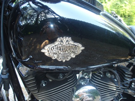 HARLEYEMBLEM MIT KRISTALLSTEINEN